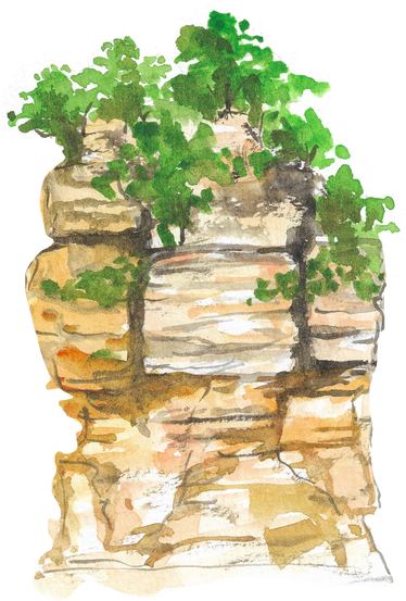 Steep Cliff with Rock and Plant