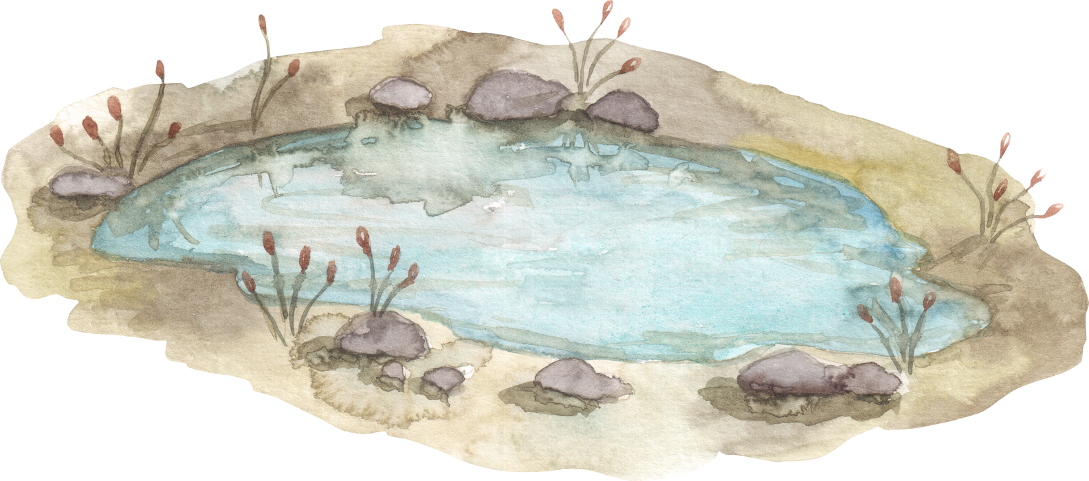 Pond watercolor clipart