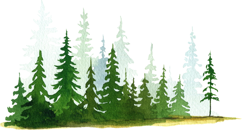 Watercolor Green Pine Trees